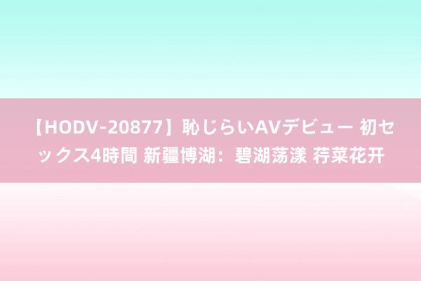 【HODV-20877】恥じらいAVデビュー 初セックス4時間 新疆博湖：碧湖荡漾 荇菜花开