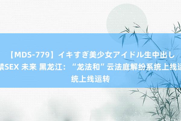 【MDS-779】イキすぎ美少女アイドル生中出し解禁SEX 未来 黑龙江：“龙法和”云法庭解纷系统上线运转