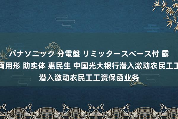 パナソニック 分電盤 リミッタースペース付 露出・半埋込両用形 助实体 惠民生 中国光大银行潜入激动农民工工资保函业务