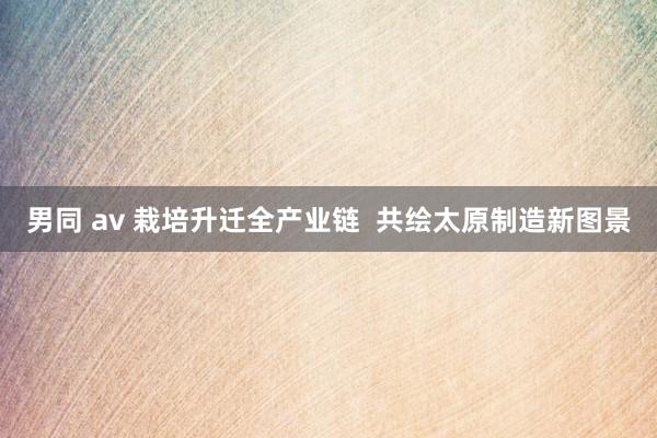 男同 av 栽培升迁全产业链  共绘太原制造新图景