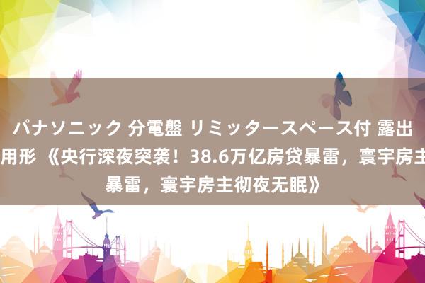 パナソニック 分電盤 リミッタースペース付 露出・半埋込両用形 《央行深夜突袭！38.6万亿房贷暴雷，寰宇房主彻夜无眠》