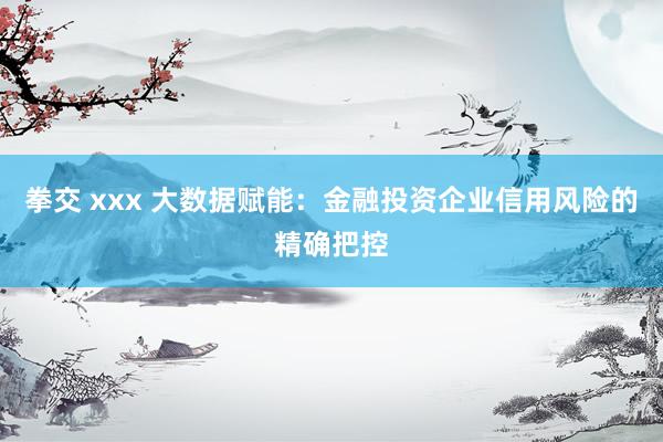 拳交 xxx 大数据赋能：金融投资企业信用风险的精确把控