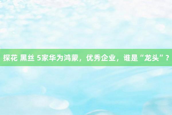 探花 黑丝 5家华为鸿蒙，优秀企业，谁是“龙头”？