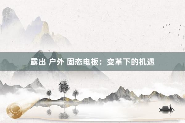 露出 户外 固态电板：变革下的机遇