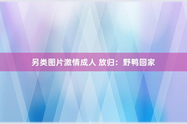 另类图片激情成人 放归：野鸭回家