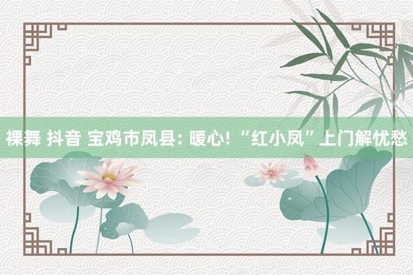裸舞 抖音 宝鸡市凤县: 暖心! “红小凤”上门解忧愁