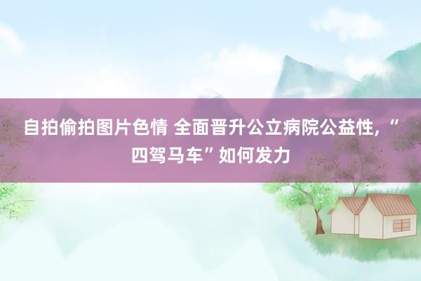 自拍偷拍图片色情 全面晋升公立病院公益性， “四驾马车”如何发力