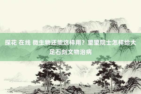 探花 在线 微生物还能这样用？望望院士怎样给大足石刻文物治病