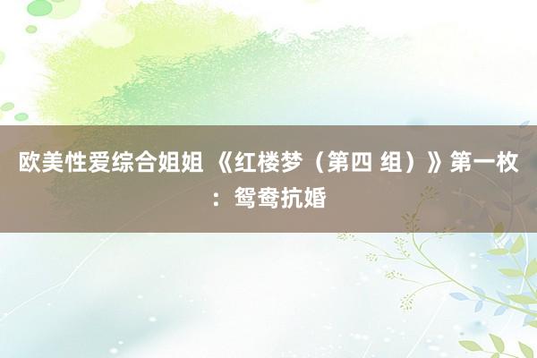 欧美性爱综合姐姐 《红楼梦（第四 组）》第一枚：鸳鸯抗婚
