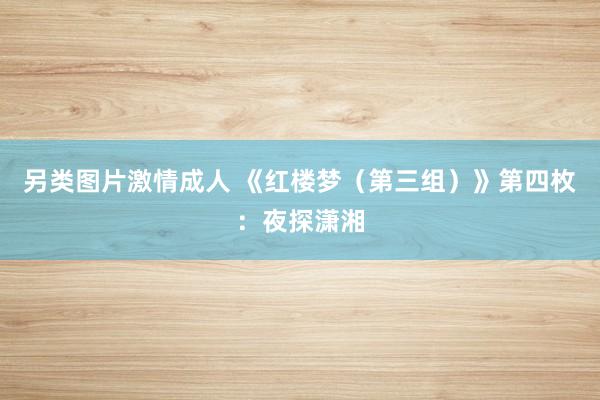 另类图片激情成人 《红楼梦（第三组）》第四枚：夜探潇湘