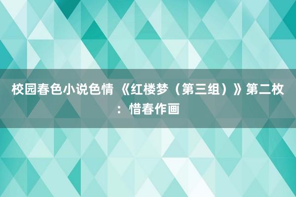 校园春色小说色情 《红楼梦（第三组）》第二枚：惜春作画