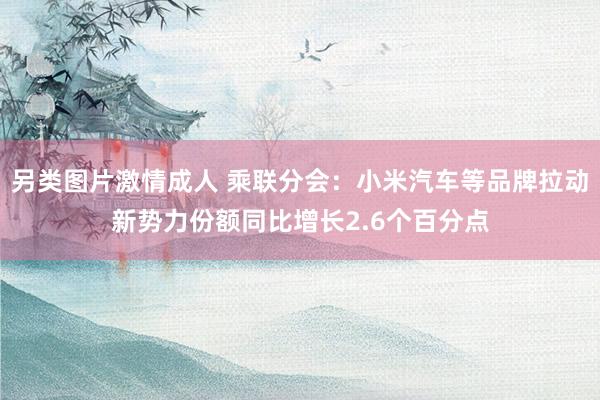 另类图片激情成人 乘联分会：小米汽车等品牌拉动新势力份额同比增长2.6个百分点