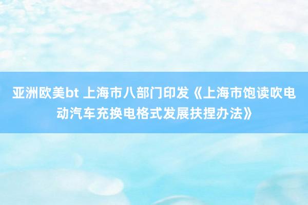 亚洲欧美bt 上海市八部门印发《上海市饱读吹电动汽车充换电格式发展扶捏办法》