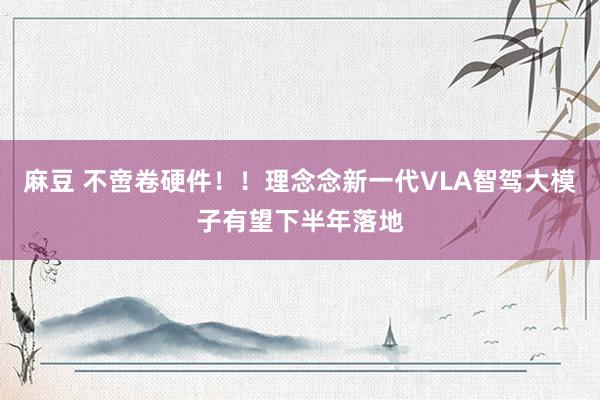 麻豆 不啻卷硬件！！理念念新一代VLA智驾大模子有望下半年落地