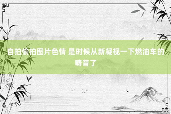 自拍偷拍图片色情 是时候从新凝视一下燃油车的畴昔了