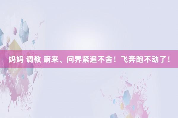妈妈 调教 蔚来、问界紧追不舍！飞奔跑不动了！
